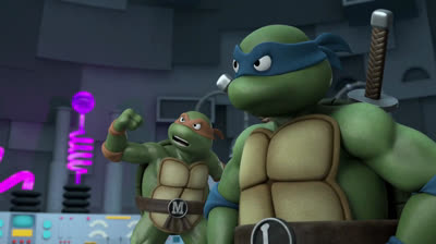 TRANS- DIMENSIONAL TURTLES