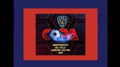 COPA IDV Campeón Liga Pro