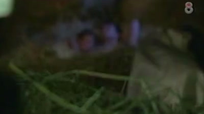 AEC - Amor en custodia #33