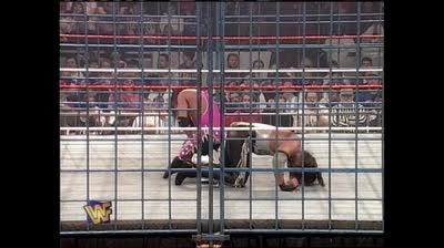 DIESEL VS BRET HITMAN HART: WWF TITLE: STEEL CAGE MATCH: IN YOUR HOUSE 95
