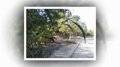 Parque de Las Cuevas, Blanca