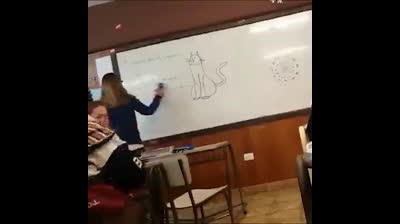 Broma de la pizarra y el gato