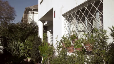 Papá Mono Capitulo 11