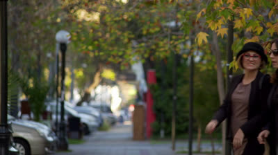 Papá Mono Capitulo 8