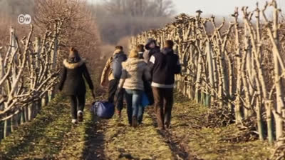 Kosovo: esperanzas incumplidas (enfoque Europa)