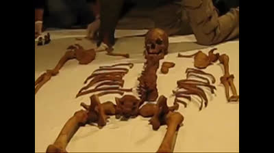 Exhumación de los huesos de Francisco Pizarro en la Catedral de Lima