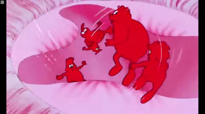 7 - El corazón. Érase una vez la vida.