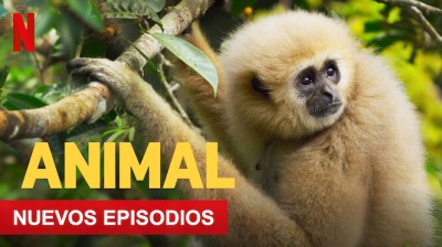 Animal HD Temporada 2 capitulo 2