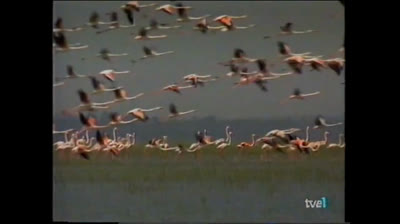 La amenaza del cambio climático (Vicente Romero)